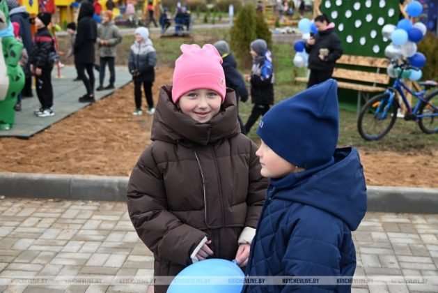 Обновленную детскую площадку открыли в Кричеве