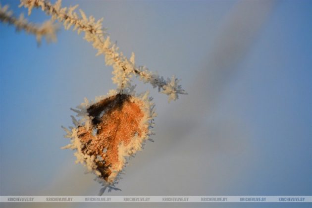 Первое дыхание зимы: чарующее утро в Кричеве