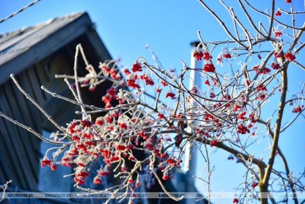 Первое дыхание зимы: чарующее утро в Кричеве