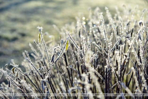 Первое дыхание зимы: чарующее утро в Кричеве