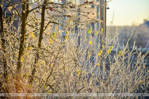 Первое дыхание зимы: чарующее утро в Кричеве