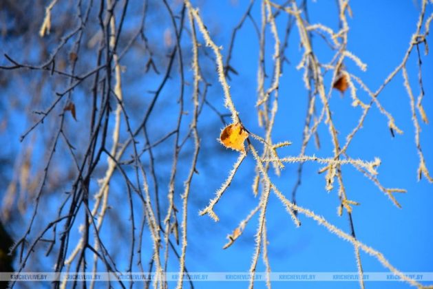 Первое дыхание зимы: чарующее утро в Кричеве