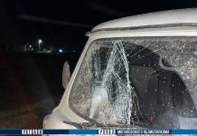 На въезде в Горки произошло смертельное ДТП