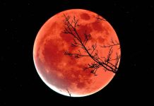 Ночь самой большой Луны: не пропустите суперлуние 5 ноября Ночь самой большой Луны: не пропустите суперлуние 5 ноября