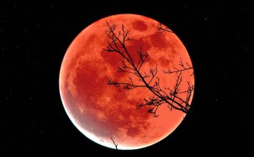Ночь самой большой Луны: не пропустите суперлуние 5 ноября Ночь самой большой Луны: не пропустите суперлуние 5 ноября