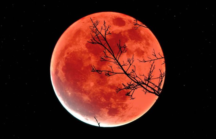 Ночь самой большой Луны: не пропустите суперлуние 5 ноября Ночь самой большой Луны: не пропустите суперлуние 5 ноября