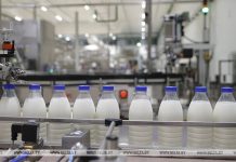 Более 1 млн тонн молока и почти 300 тыс. тонн мяса. Какие задачи стоят перед животноводческой отраслью Могилевской области Более 1 млн тонн молока и почти 300 тыс. тонн мяса. Какие задачи стоят перед животноводческой отраслью Могилевской области