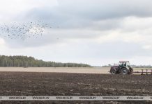 В Беларуси поднято зяби на площади почти 1,5 млн гектаров В Беларуси поднято зяби на площади почти 1,5 млн гектаров