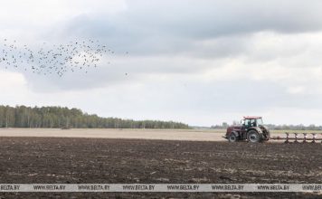 В Беларуси поднято зяби на площади почти 1,5 млн гектаров В Беларуси поднято зяби на площади почти 1,5 млн гектаров