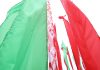 Мнение: решения, принятые ВНС, продолжат импульс развития белорусского государства
