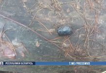 Успели «поработать» около двух недель. Школьницы из Могилевской области распространяли наркотики Успели "поработать" около двух недель. Школьницы из Могилевской области распространяли наркотики