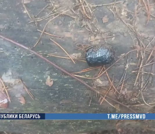 Успели «поработать» около двух недель. Школьницы из Могилевской области распространяли наркотики Успели "поработать" около двух недель. Школьницы из Могилевской области распространяли наркотики