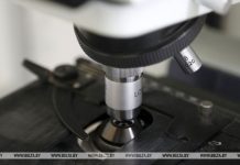 Китайские ученые разработали метод генного редактирования для уничтожения ВИЧ