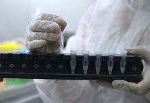 Ученые обнаружили вещество, способное бороться с агрессивной формой рака молочной железы Ученые обнаружили вещество, способное бороться с агрессивной формой рака молочной железы