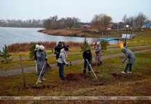 В Кричеве прошел последний в 2025 году субботник