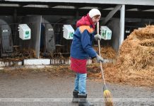 Аграрии Кричевщины посвятили выходные наведению порядка на сельскохозяйственных объектах