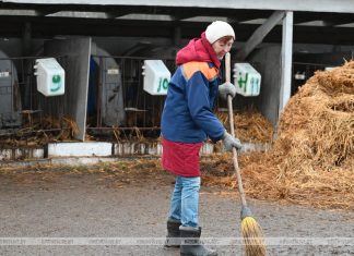 Аграрии Кричевщины посвятили выходные наведению порядка на сельскохозяйственных объектах Кричев | Новости Кричева и Кричевского района