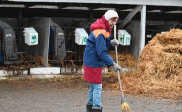 Аграрии Кричевщины посвятили выходные наведению порядка на сельскохозяйственных объектах Кричев | Новости Кричева и Кричевского района