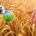 Развитие агросектора: бюджетная поддержка в 2026 году Все новости