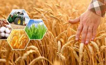 Развитие агросектора: бюджетная поддержка в 2026 году