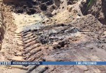 Гибель 119 телят выявили сотрудники БЭП