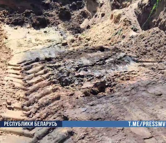 Гибель 119 телят выявили сотрудники БЭП Кричев | Новости Кричева и Кричевского района