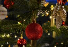 Как безопасно украсить новогоднюю елку: советы от Кричевского РОЧС Как безопасно украсить новогоднюю елку: советы от Кричевского РОЧС