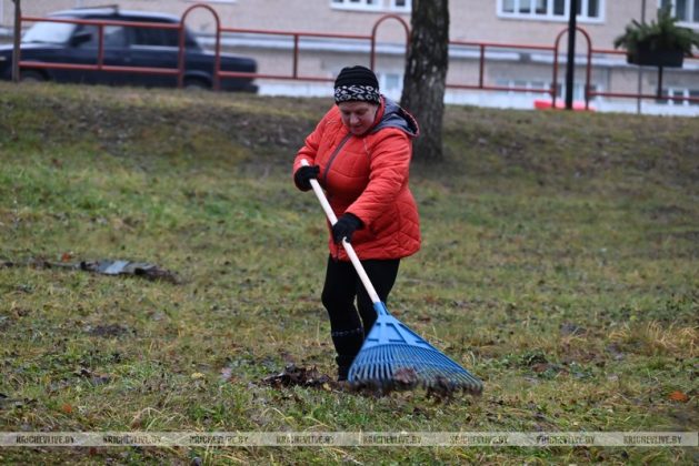 В Кричеве прошел последний в 2025 году субботник