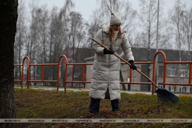 В Кричеве прошел последний в 2025 году субботник