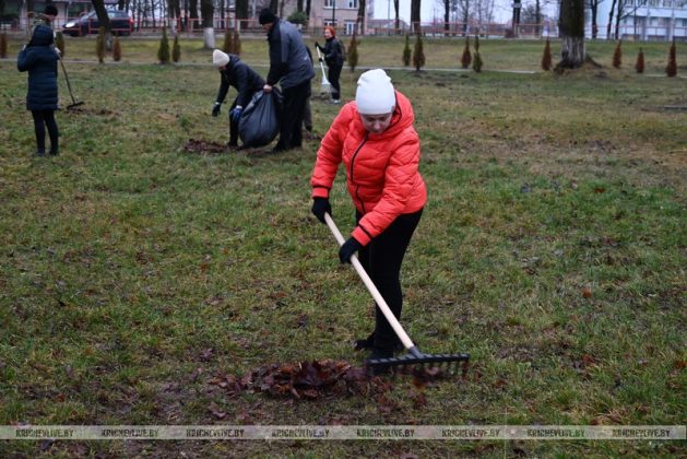 В Кричеве прошел последний в 2025 году субботник