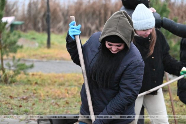 В Кричеве прошел последний в 2025 году субботник