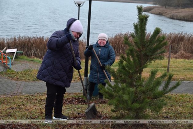 В Кричеве прошел последний в 2025 году субботник
