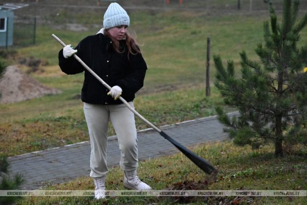 В Кричеве прошел последний в 2025 году субботник