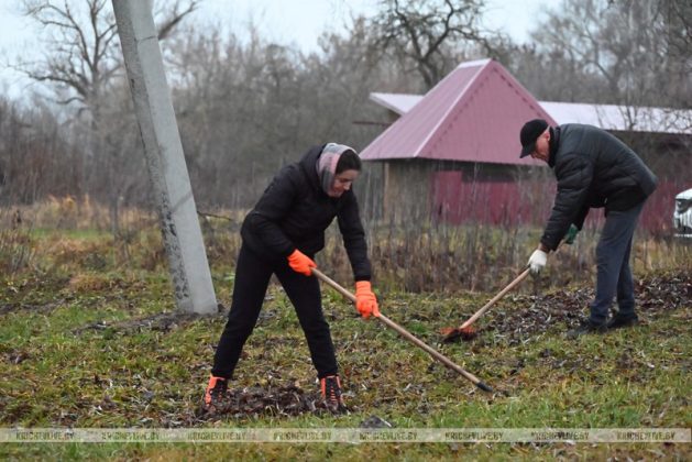 В Кричеве прошел последний в 2025 году субботник