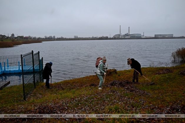 В Кричеве прошел последний в 2025 году субботник