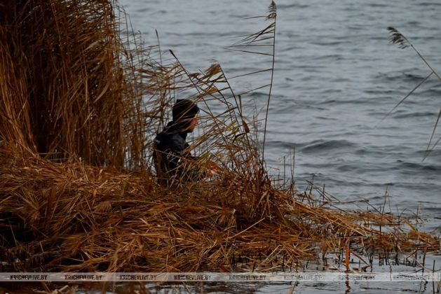 В Кричеве прошел последний в 2025 году субботник