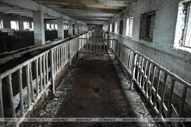 Аграрии Кричевщины посвятили выходные наведению порядка на сельскохозяйственных объектах