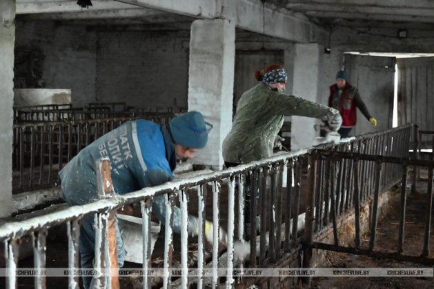 Аграрии Кричевщины посвятили выходные наведению порядка на сельскохозяйственных объектах