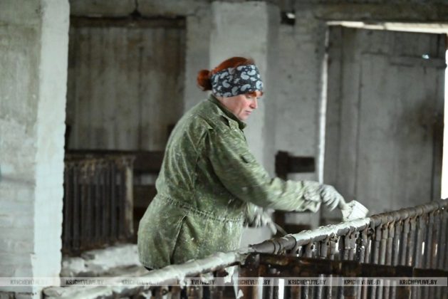 Аграрии Кричевщины посвятили выходные наведению порядка на сельскохозяйственных объектах