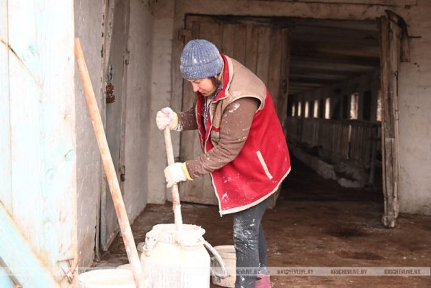 Аграрии Кричевщины посвятили выходные наведению порядка на сельскохозяйственных объектах