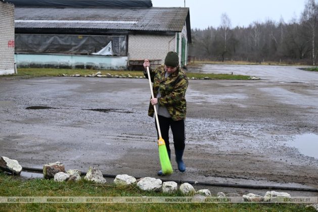 Аграрии Кричевщины посвятили выходные наведению порядка на сельскохозяйственных объектах