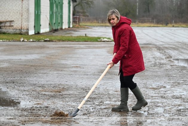 Аграрии Кричевщины посвятили выходные наведению порядка на сельскохозяйственных объектах