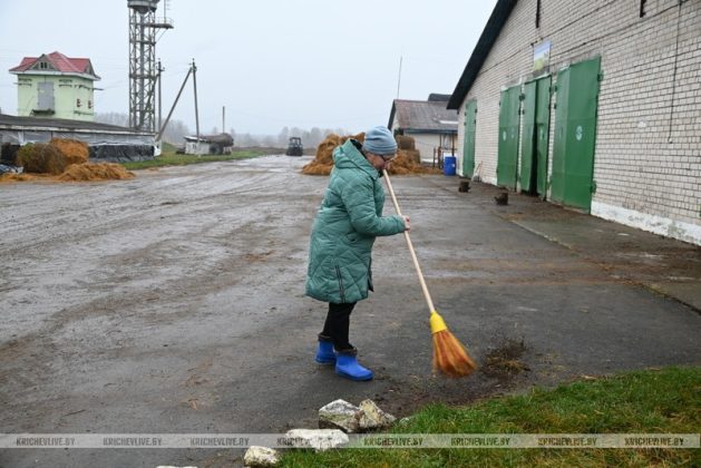 Аграрии Кричевщины посвятили выходные наведению порядка на сельскохозяйственных объектах