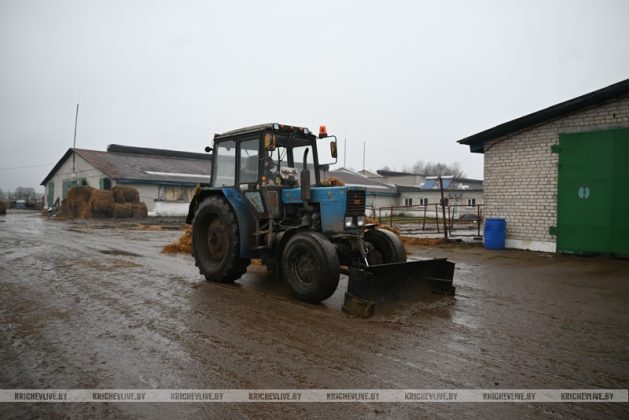 Аграрии Кричевщины посвятили выходные наведению порядка на сельскохозяйственных объектах