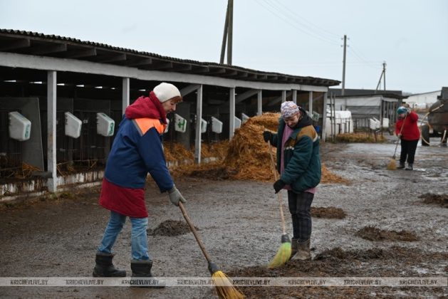 Аграрии Кричевщины посвятили выходные наведению порядка на сельскохозяйственных объектах