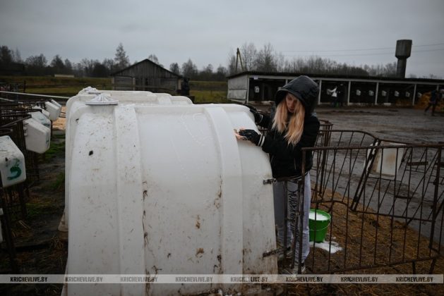 Аграрии Кричевщины посвятили выходные наведению порядка на сельскохозяйственных объектах