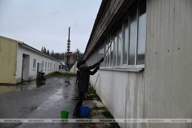 Аграрии Кричевщины посвятили выходные наведению порядка на сельскохозяйственных объектах