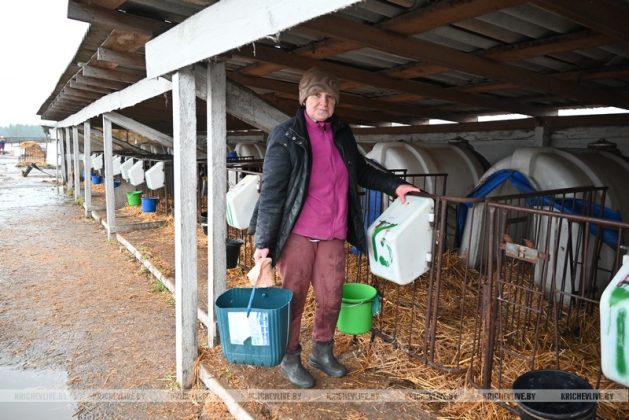 Аграрии Кричевщины посвятили выходные наведению порядка на сельскохозяйственных объектах