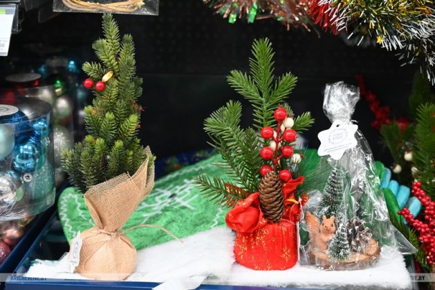 Сколько стоит елка в Кричеве: заглянули в торговые точки