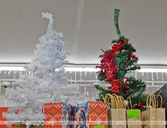 Сколько стоит елка в Кричеве: заглянули в торговые точки